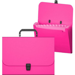 Γραμματιοθήκη Erichkrause A4 12 Θήκες Matt Neon Pink 50461