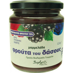 Μαρμελάδα φρούτα του δάσους Βιοαγρός 320g - Βιοαγρός