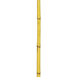 Μπαμπού Βέργες Στήριξης Φυτών 180(h)cm , O 12-14mm Lianos - Lianos