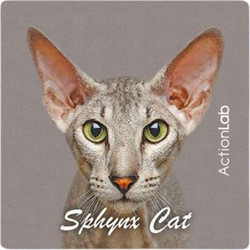 Action Lab Μαγνητάκι Magnet Spynx Cat