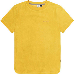 Picture Carrella Spectra Yellow