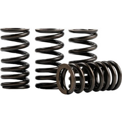Ελατήρια βαλβίδων (3,00 39mm) Yamaha Crypton X 135 FASSTEK