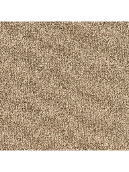 Μοκέτα Congress 38 9mm Brown 400X