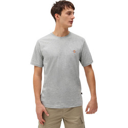 DICKIES SS MAPLETON TEE DK0A4XDBGYM-GYM Γκρί