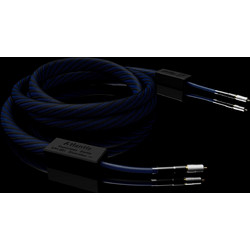 Signal Projects Atlantis Digital RCA Cable 75Ω