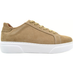 Hawkins DR8094 Ανδρικά Sneakers Taupe