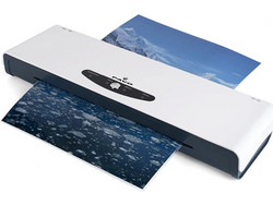 Pavo Α3 Alaska Swift