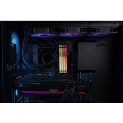 Kingston Fury Beast RGB 64GB (4X16GB) DDR5 6000MHz C40 Black