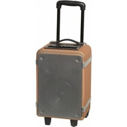 Denver TSP-150 Σύστημα Kαραόκε με Ενσύρματο Μικρόφωνο