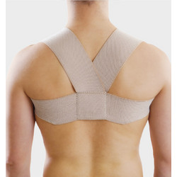 Anatomic Help Οκτοειδής Ιμάντας 0326
