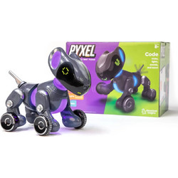 Educational Insights Pyxel A Coder's Best Friend