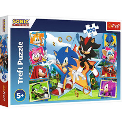 Παιδικό Puzzle Trefl Sonic Meet Sonic 100 Κομμάτια