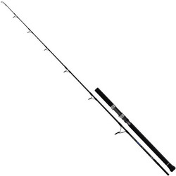Pregio Throne Off Shore Καλάμι Ψαρέματος για Jigging Carbon Δίσπαστο 2m