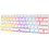 Baracuda Dolphin Μηχανικό Gaming Πληκτρολόγιο 60% με Custom Red Διακόπτες RGB White