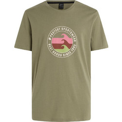 Protest Prtsharm Ανδρικό Αθλητικό T-Shirt Χακί 1712331-476