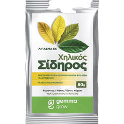 Gemma Super Green Υδατοδιαλυτό Λίπασμα σε Σκόνη Χηλικού Σιδήρου 50gr