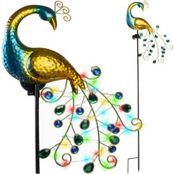 Gardlov 25281 Peacock