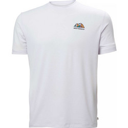 Helly Hansen Skog Recycled Graphic Trooper Ανδρικό Αθλητικό T-Shirt Γκρι 63082-687