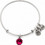 Alex and Ani Γυναικείο Βραχιόλι Βέργα Ασημί A12EB241RS