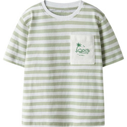 Name It Παιδικό T-Shirt Κοντομάνικο Πράσινο Mint 13251048