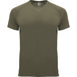 Roly Ανδρικό Αθλητικό T-Shirt Χακί CA0407