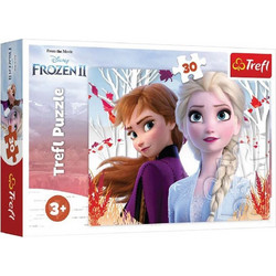 Παιδικό Puzzle Trefl Frozen II 30 Κομμάτια