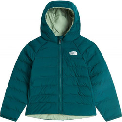 The North Face Παιδικό Μπουφάν Χειμωνιάτικο Puffer Κυπαρισσί Πράσινο Mint NF0A88VJN4J1