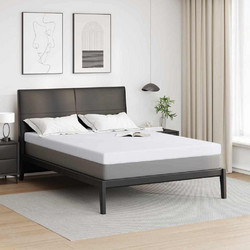 vidaXL Υπέρδιπλο 160x200cm 4106250