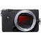 Sigma fp L Body
