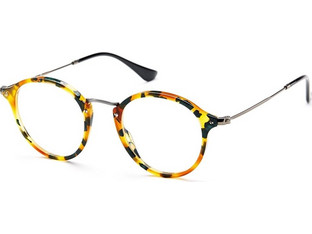 Ray-Ban RB2447V