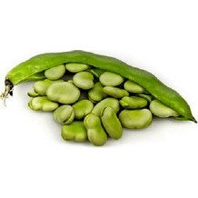 Σπόρος Κουκιά 100 gr