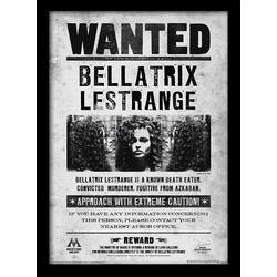 Harry Potter (Bellatrix Wanted) Wooden Framed 30 x 40cm Print - FP10612P