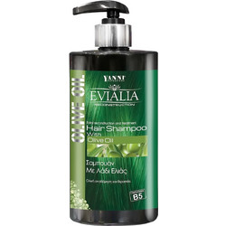 Yanni Extensions Olive Oil Σαμπουάν για Επανόρθωση για Ξηρά Σγουρά & Ταλαιπωρημένα Μαλλιά 500ml