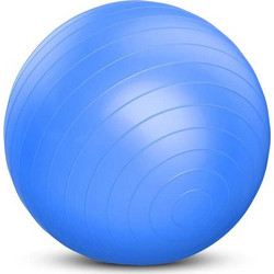Power Force Μπάλα γυμναστικής GYM BALL Antibrust 65cm WS-6009