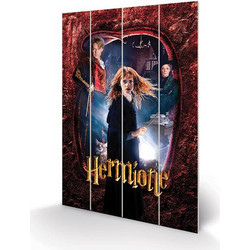 HARRY POTTER - Wood Print 40x59cm - Hermione