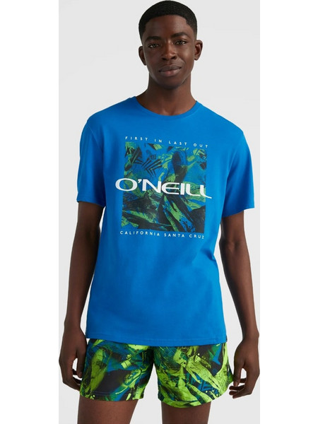 O'neill Men Crazy T-Shirt | Prince Blue O'NEILL blue