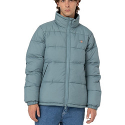 Dickies Waldenburg Ανδρικό Μπουφάν Χειμωνιάτικο Μπλε DK0A4XP2-G07