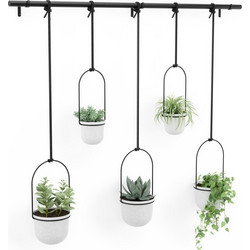 Umbra Κρεμαστό Κασπώ Λευκό/Μαύρο Σετ 5 Τμχ Triflora 137x18x94