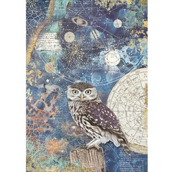 ΡΙΖΟΧΑΡΤΟ DECOUPAGE Α4 DFSA4389