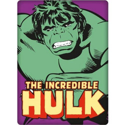 Marvel The Incredible Hulk Fridge Magnet Metal - MAGMMV03