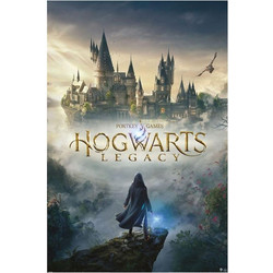 Pyramid Αφίσα HOGWARTS LEGACY - Wizarding World Universe - Poster 61 x 91cm