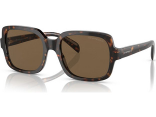 Emporio Armani EA4195 5026/73 Ανδρικά Γυαλιά Ηλίου Oversized Κοκάλινα Ταρταρούγα με Καφέ Polarized Φακό