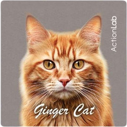 Action Lab Μαγνητάκι Magnet Ginger Cat