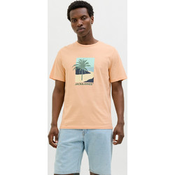 Ανδρικό t-shirt JJBARBADOS TEE SS CREW NECK 12269416