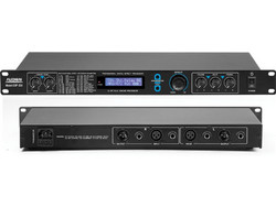 Audien DSP-256 DSP 318