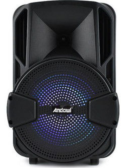 Andowl AN-Q-T38 Σύστημα Kαραόκε με Ενσύρματο Μικρόφωνο