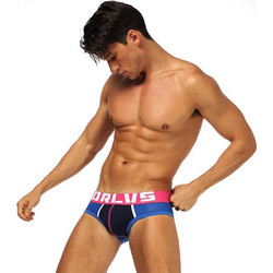 Mesh Brief Mens Underwear Blue