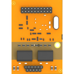 Module Yeastar with 2 BRI ports (B2 module)