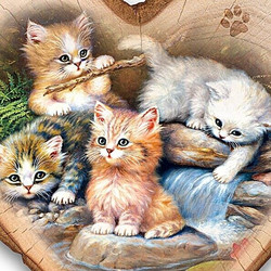 Olympus Diamond Painting Country beautiful Kitten - Ψηφιδωτό Μωσαικό Όμορφα γατάκια 50Χ40