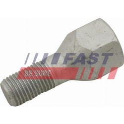 Fast FT21581